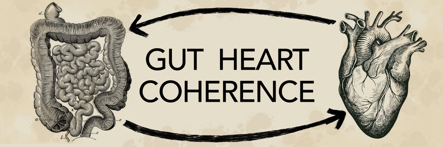 GUT HEART COHERENCE