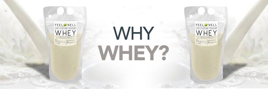 WHY WHEY?