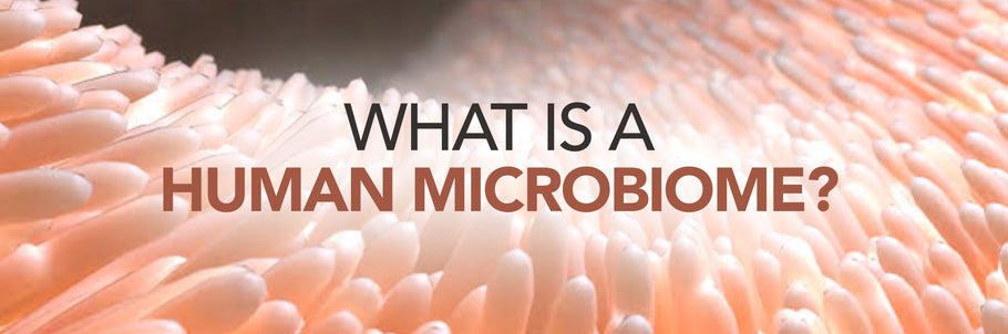 HUMAN MICROBIOME