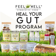 Load image into Gallery viewer, 2024: Weekly Heal Your Gut Program