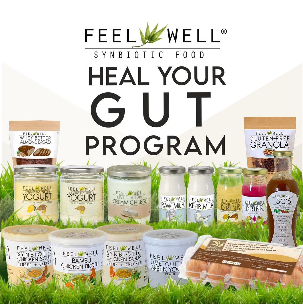 2024: Weekly Heal Your Gut Program