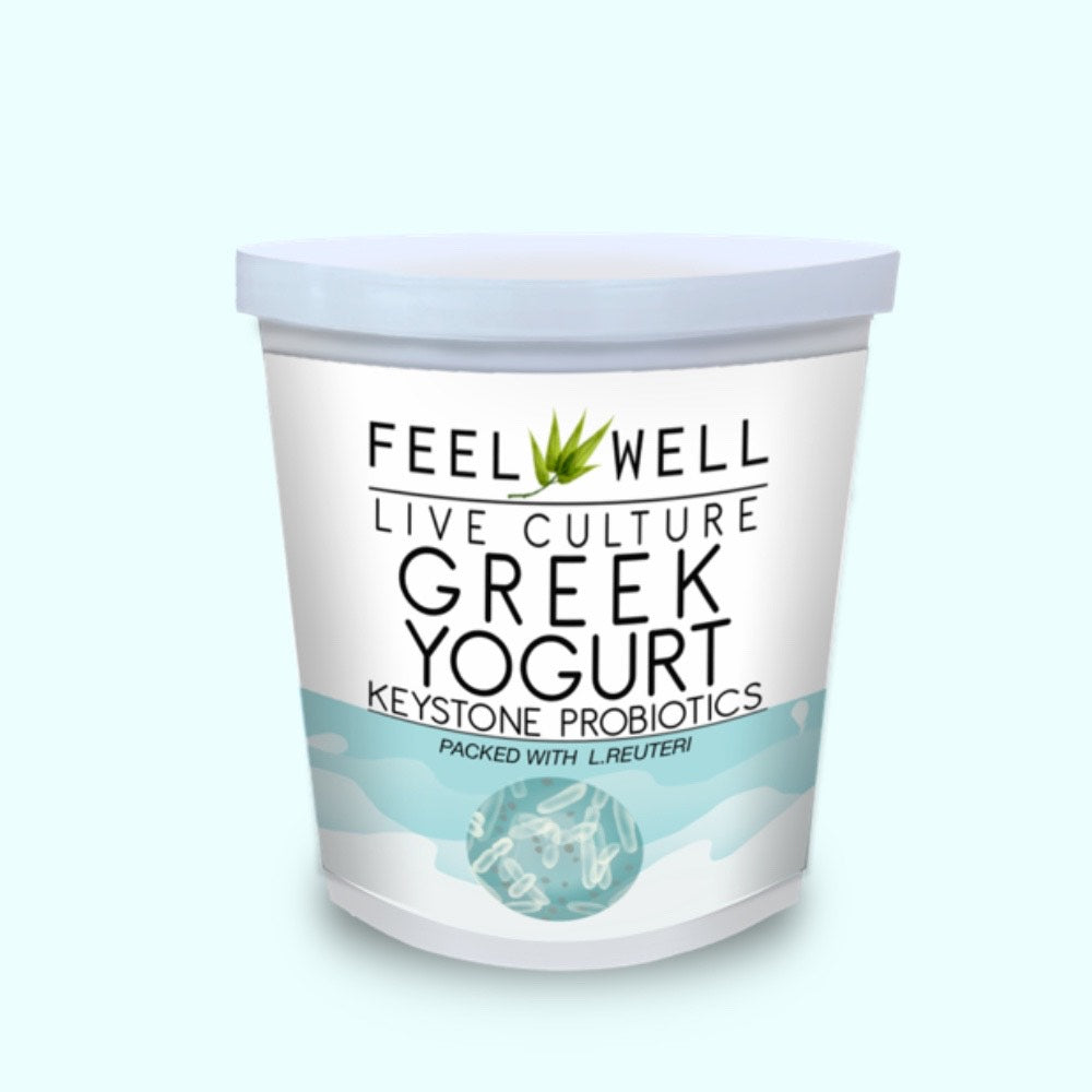 Keystone Probiotic Greek Yogurt: 400g L. Reuteri - Feel Well