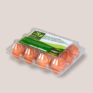 Bambu Organic Eggs (Jumbo +)